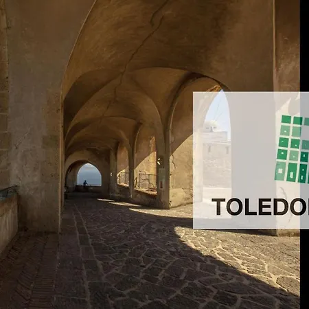 Toledo Lab