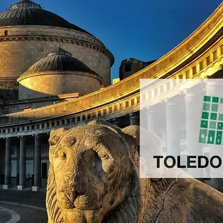 Toledo Lab Naples